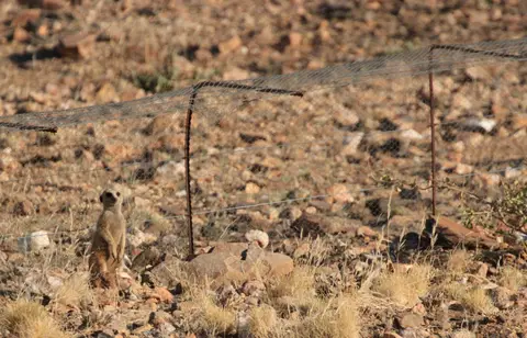 2016-Namibia-0246.jpg