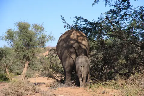 2016-Namibia-0437.jpg
