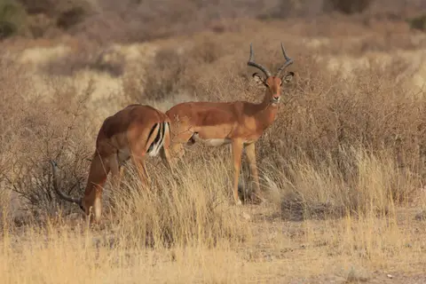 2016-Namibia-8946.jpg