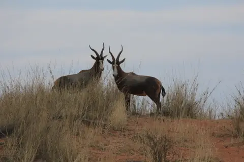 2016-Namibia-8961.jpg