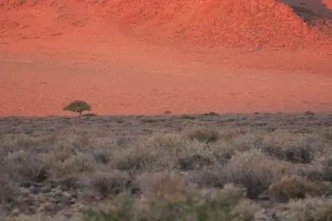 2016-Namibia-9047.jpg