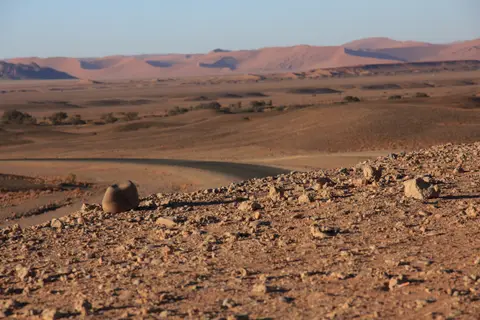 2016-Namibia-9057.jpg