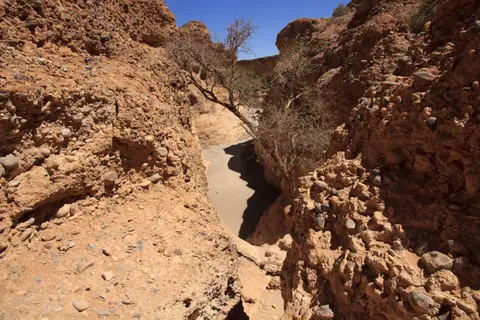 2016-Namibia-9098.jpg