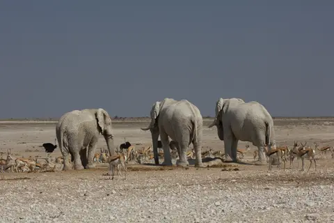 2016-Namibia-9635.jpg