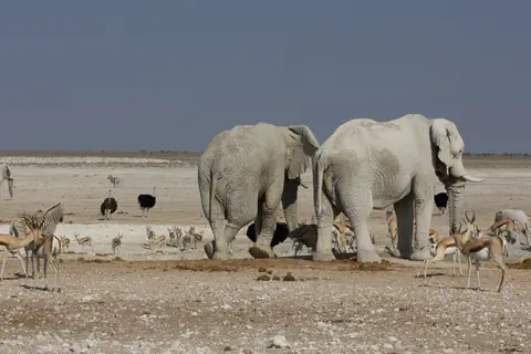 2016-Namibia-9669.jpg