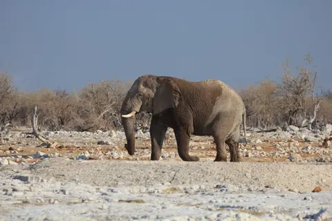 2016-Namibia-9678.jpg