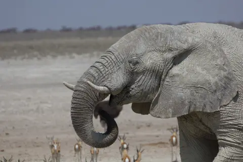 2016-Namibia-9836.jpg