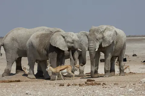 2016-Namibia-9868.jpg