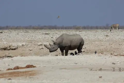 2016-Namibia-9893.jpg