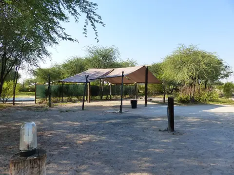 h0a48196.JPG