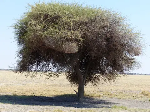 h633d48e.JPG