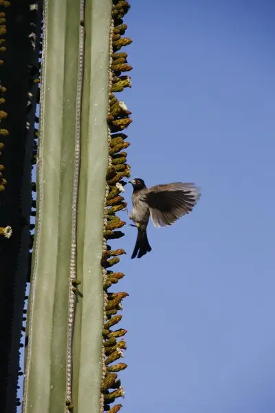 comp__MG_0360.jpg