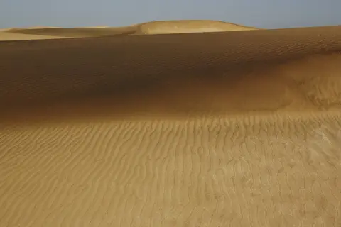 comp__MG_1637.jpg