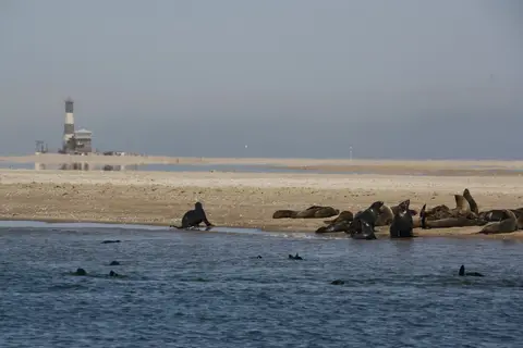 comp__MG_1799.jpg