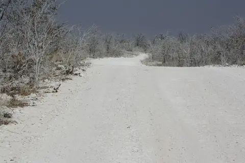 comp__MG_2564.jpg