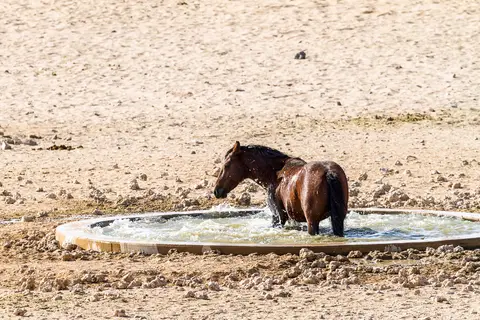 Namibia2012-163.jpg