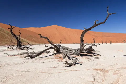 Namibia2012-231.jpg
