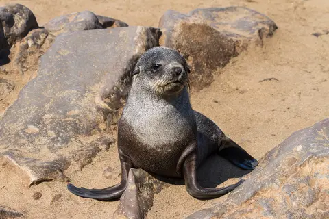 Namibia2012-309.jpg