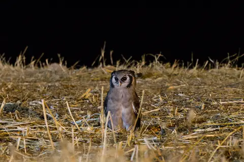 Namibia2012-424.jpg