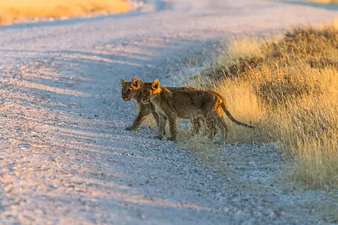 Namibia2012-427.jpg