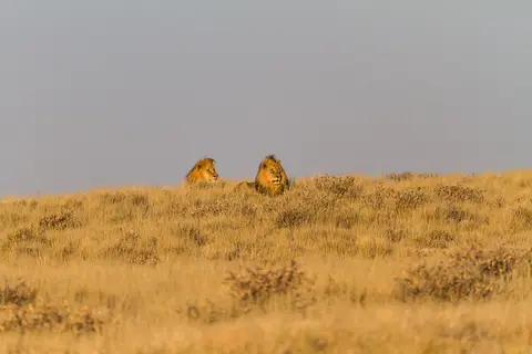 Namibia2012-433.jpg