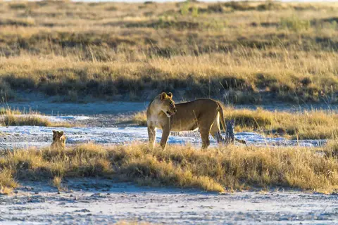 Namibia2012-436.jpg