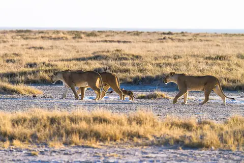 Namibia2012-438.jpg