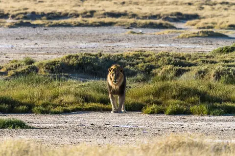 Namibia2012-442.jpg