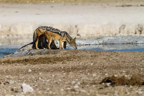 Namibia2012-462.jpg