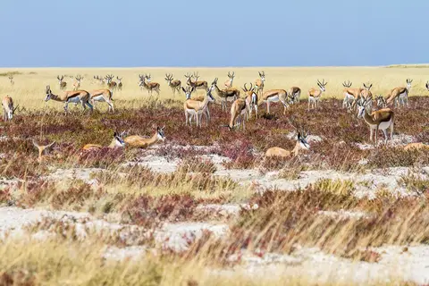 Namibia2012-480.jpg