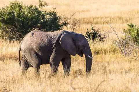 Namibia2012-491.jpg