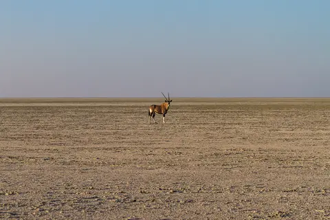 Namibia2012-494.jpg