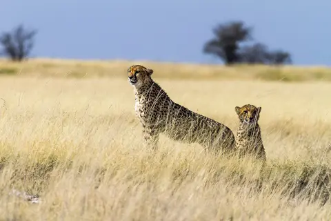 Namibia2012-509.jpg