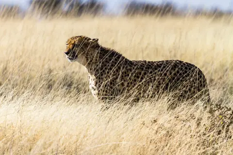 Namibia2012-513.jpg