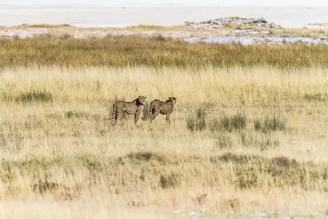 Namibia2012-515.jpg
