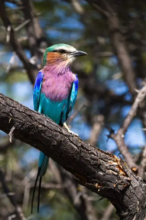 Namibia2012-520.jpg