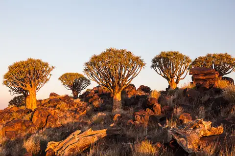 Namibia2012-53.jpg