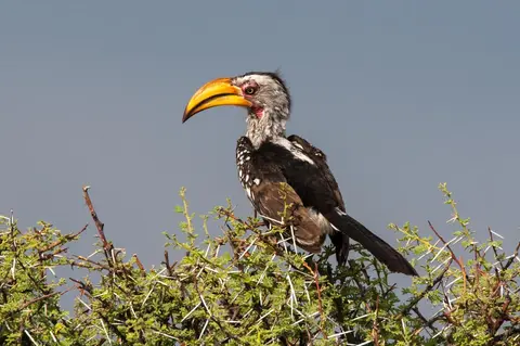 0052c_namibiaWST_1122-2.jpg