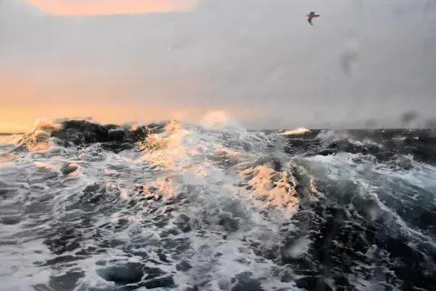 2A3AFF89-FD7D-406C-BE51-6AF260AA761A.jpeg