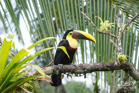20220410Inkl.WZ-DSC05777.jpg