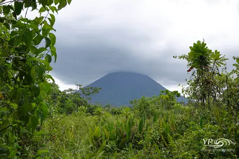 20220412Inkl.WZ-DSC06170.jpg