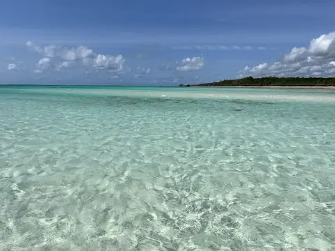 IMG_4196.JPEG