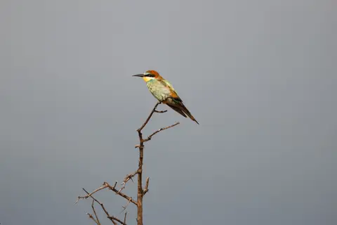 201710221IMG_8585.jpg