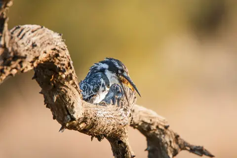 201710231IMG_8831.jpg