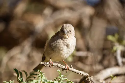 201710281IMG_1620.jpg