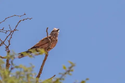 201710281IMG_9422.jpg
