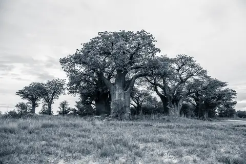 IMG_1063.jpg