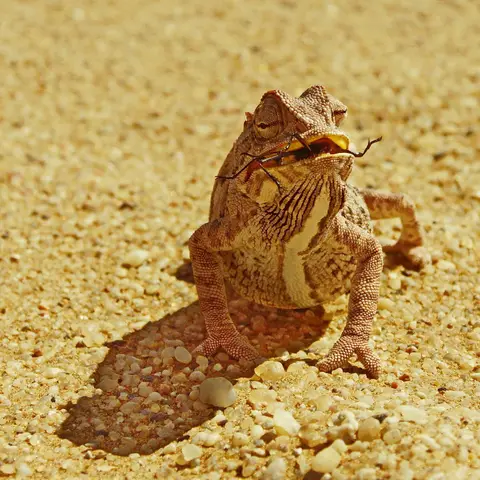 namibia-2017-05-1211-46-26_1.jpg