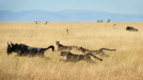 14_kenia2018_1.jpg