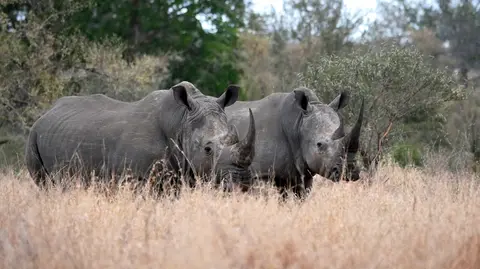 1_P1130681.JPG